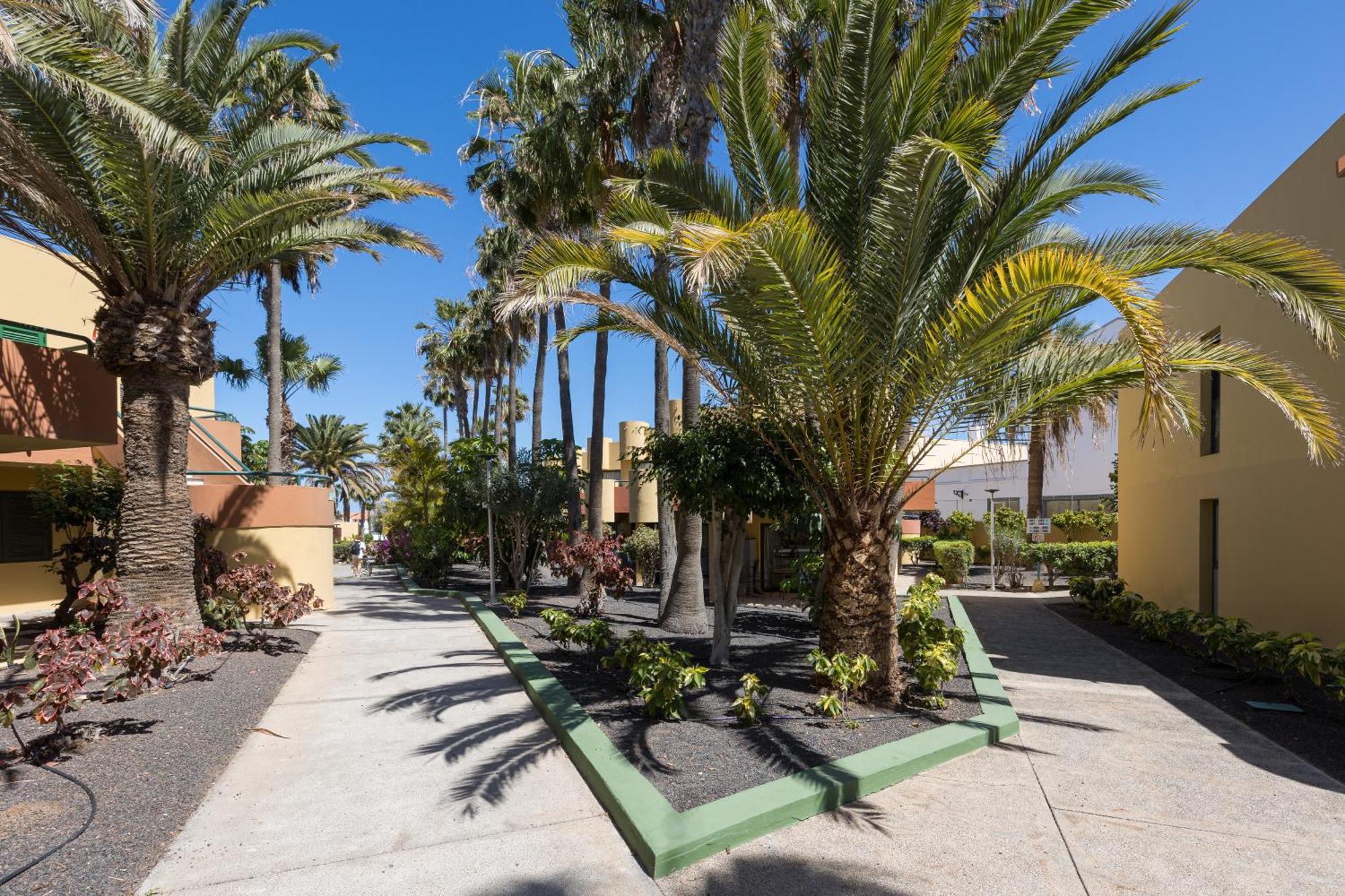 Home2Book Pool & Tennis Court Cozy Apt, Corralejo Buitenkant foto